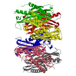 Image of CATH 1oyp