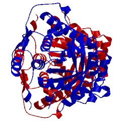 Image of CATH 1p0k