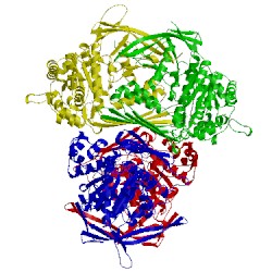 Image of CATH 1p1h