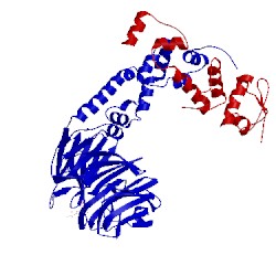 Image of CATH 1p22