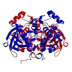 Image of CATH 1p4o