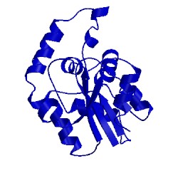 Image of CATH 1p4s