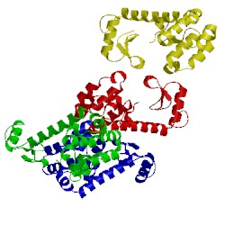 Image of CATH 1p5c