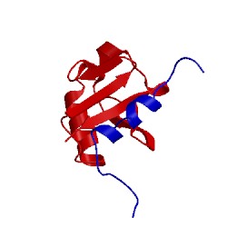 Image of CATH 1p9d