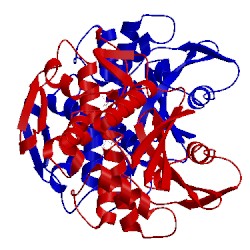 Image of CATH 1pag