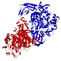 Image of CATH 1pam