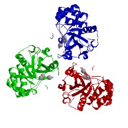 Image of CATH 1pb0