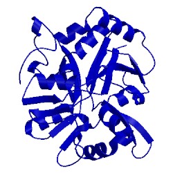 Image of CATH 1pb7