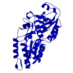 Image of CATH 1pbp