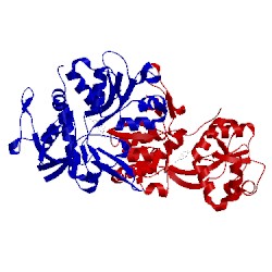 Image of CATH 1pbq