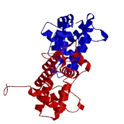 Image of CATH 1pbw