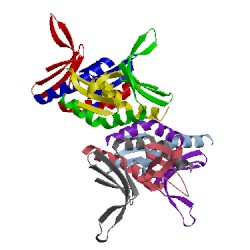 Image of CATH 1pcf