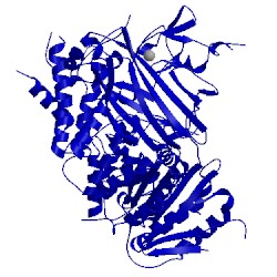 Image of CATH 1pd1