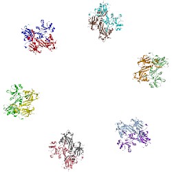 Image of CATH 1pdm