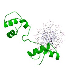 Image of CATH 1pdn