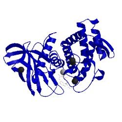 Image of CATH 1pe5