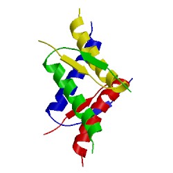 Image of CATH 1pet