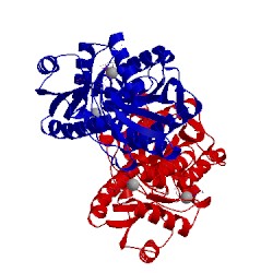 Image of CATH 1pfk