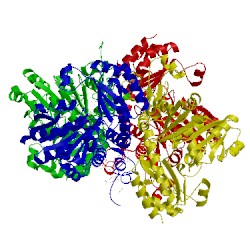 Image of CATH 1pg8