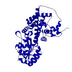 Image of CATH 1pgo