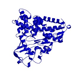 Image of CATH 1pha