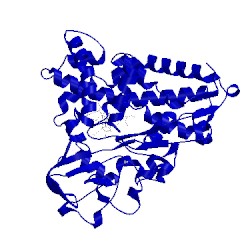 Image of CATH 1phb