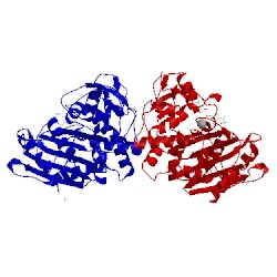 Image of CATH 1pi5