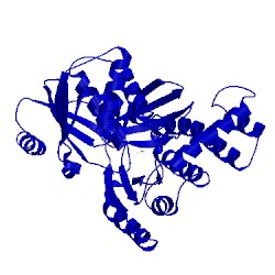 Image of CATH 1pie