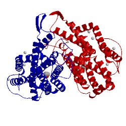 Image of CATH 1piu