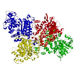 Image of CATH 1pj3