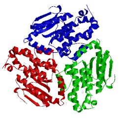 Image of CATH 1pjh