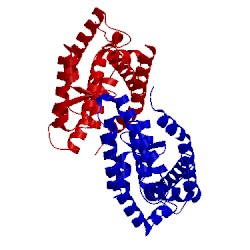 Image of CATH 1pk5