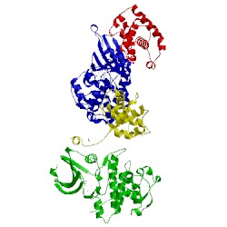 Image of CATH 1pkd