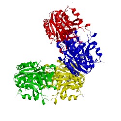 Image of CATH 1pl6