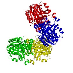 Image of CATH 1pl8