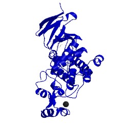 Image of CATH 1pmu