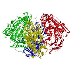 Image of CATH 1pn0