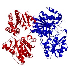 Image of CATH 1pn3