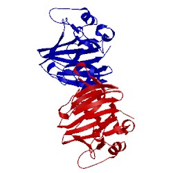 Image of CATH 1pp3