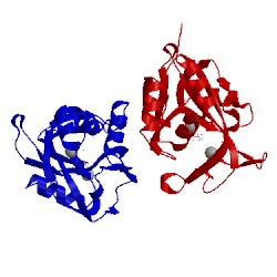 Image of CATH 1ppv
