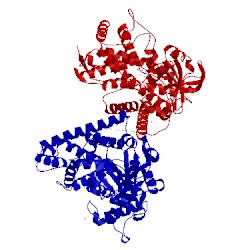 Image of CATH 1pq2