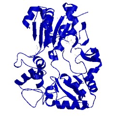 Image of CATH 1pqy