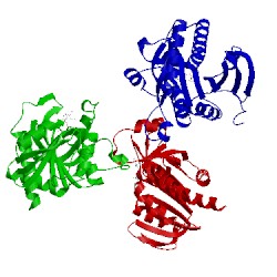 Image of CATH 1pr2