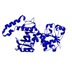 Image of CATH 1pr3