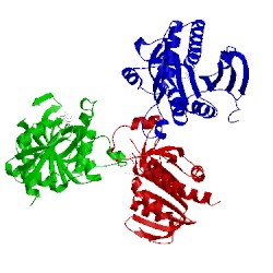 Image of CATH 1pr6