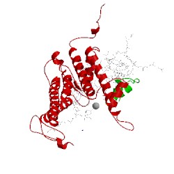 Image of CATH 1pst