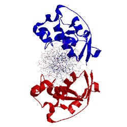 Image of CATH 1pt3