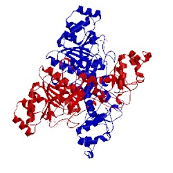 Image of CATH 1pt5