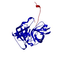 Image of CATH 1ptc
