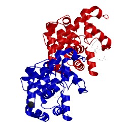Image of CATH 1pu6